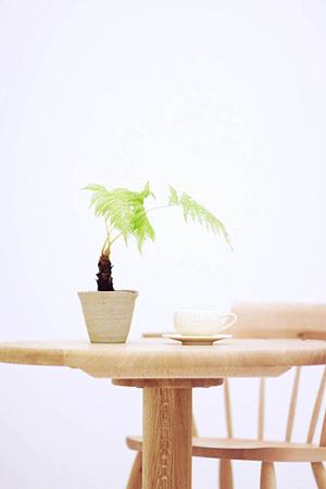 東京で見つける!質の高い絵画販売とアート購入の完全ガイド